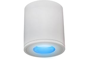 Planetitaly Lampada da parete o soffitto led RGB per ambienti umidi box doccia bagno turco vasca IP65 Dimmerabile programmi di luce cromoterapia