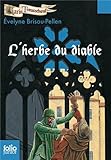 Garin Trousseb?uf, VI : L'herbe du diable