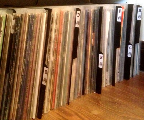 Schallplatten-Trennwände, 25,4 x 30,48 cm, Schwarz - 2