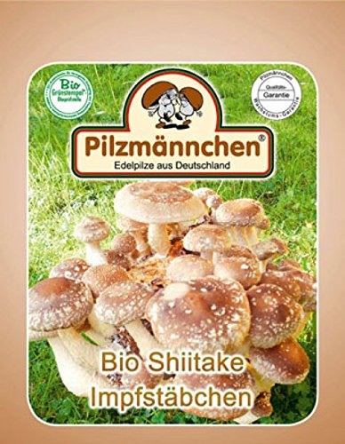 BIO Shiitake Impfstäbchen / Impfdübel für die Pilzzucht