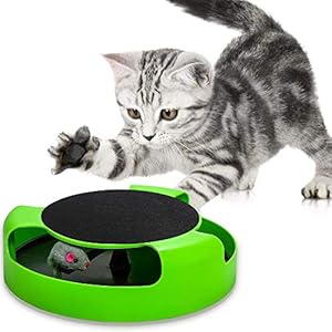 PetHot Juguetes interactivos de Gato, Correr ratón interactiva para rascarse, Ratones con Habilidad para rascar Cata de Rata, atrapa el ratón, rascador de Gatos, Mantiene a tu Gato intrigado