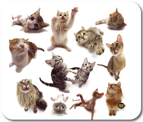 Allsop 06915 Cat Group Mouspad (mit Katzen-Motiv) für verbesserte Maussteuerung