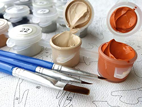 GYHJNK Malen Nach Zahlen Ackerland Landschaft DIY Ölgemälde Nach Zahlen Auf Leinwand Handbemalt Färbung Nach Zahlen Für Wohnkultur Rahmenlos 40x50cm