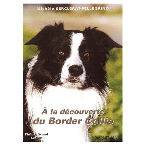 A la découverte du Border Collie A la découverte du Border Collie