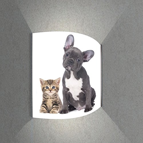 Preisvergleich Produktbild Luminoase-Leuchten - Leuchte Katzen hören besser als Hunde - Nachleuchtende hochwertige LED Acrylglas Wandbildlampe, Motiv Tier (570 x 600 mm)