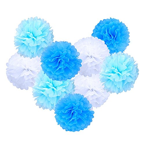 eBoot Seidenpapier Pom Poms PomPoms Blume für Hochzeit Dekoration Party Deko, 10 Zoll, 9 Stück