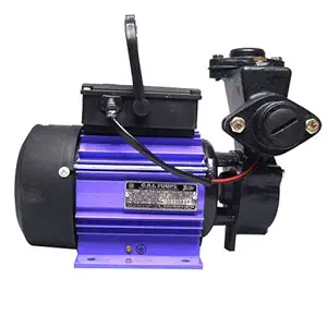 cri 1.0HP Water Pump XCITE 100 Copper Winded (Purple, 33X20X26cm)