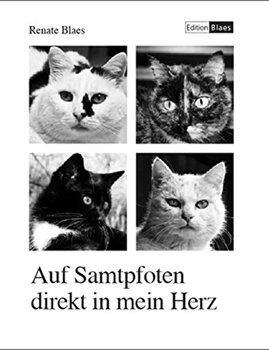 Download Auf Samtpfoten direkt in mein Herz: Liebeserklärung an meine Katzen Download Auf Samtpfoten direkt in mein Herz: Liebeserklärung an meine Katzen