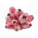 1 x Rosa Weichplastik Korallen Aquarium Ornament Künstliche...