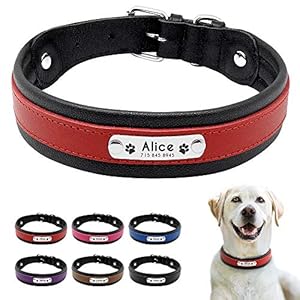 Pet Artist Collar para Perro con Nombre de Perro Grabado Personalizado de Piel Acolchada para Mascotas, Etiquetas de identificación para Mascotas