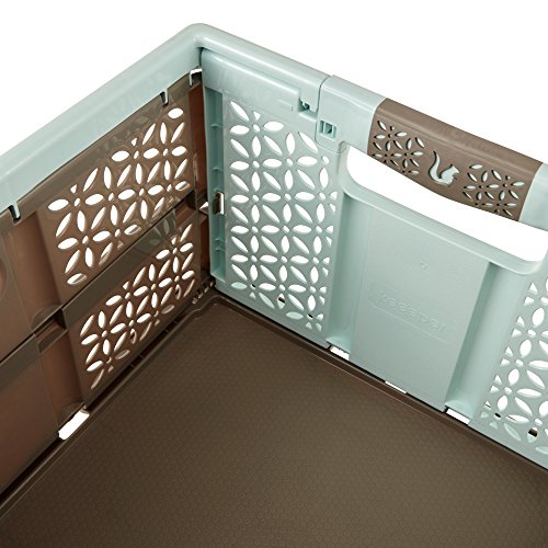keeeper Lea Profi-Klappbox mit Softgriffen, Plastik, aquamarine/ taupe, 48 x 34.5 cm - 4