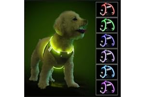 PCEOTLLAR Light Up Dog Harness, Reflective LED Dog Harness Rechargeable, Waterproof Flashing Light Up Harness Light for Small Puppy Medium Dogs with 9 Glowing Modes for Night Walking, RGB Black-S