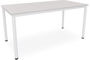 Dila GmbH Schreibtisch/Besprechungstisch in verschiedenen Größen und Farben weißes Metallgestell Konferenztisch Arbeitstisch (B: 160 cm x T: 80 cm, Lichtgrau)