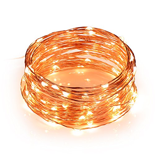 TOPLUS Cadena de luces LED Blanco C&aacute;lido, 10m 100 Leds, IP65 Impermeable, Alambre de Cobre para Decoraci&oacute;n, Conexi&oacute;n USB, 5V
