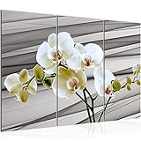 UMWELTBEWUSST: ökologisches Druckverfahren, geeignet für Kinder- und Schlafzimmer