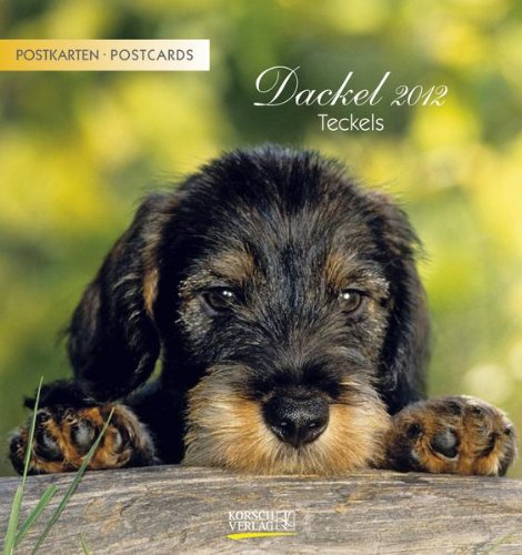 Dackel, Teckels 2012 Postkartenkalender