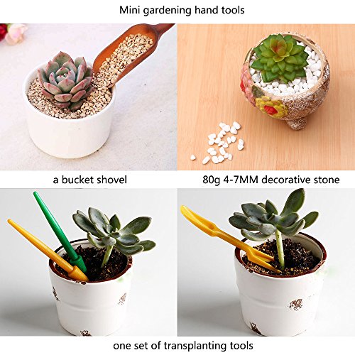 Whonline 6 Stück bunte Runde Blumentopt Pflanzkübel mit Untersetzer, 80g 4-7mm Weißer Pflasterstein, 1 Set Schaufel, 1 Verpflanzen Wergzeug - 6