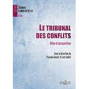 Le tribunal des conflits. Bilan et perspectives - 1ère édition