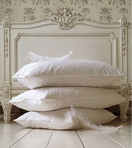 ÖKO -TEX 100% Natur DAUNEN-FEDERN KISSEN KOPFKISSEN verschiedene Füllungen 80x80 Luxus Kopfkissen Kissen Daunenkissen Bettdecken (1380gr (80x80cm))