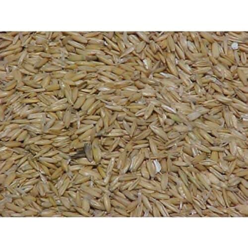 Amazon.co.uk oats for horses