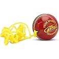 PSE Leather Priya Sports Red Practice Hanging Cricket Ball for Bat Knocking