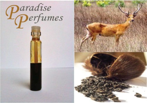 Kashmiri Deer Musk - Pure High Quality Perfume Oil 1ml