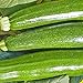 Produktbild seedsown 1 Unze Dark Green Zucchini Sommer-Kürbis-Samen