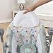 Bright Starts Comfort & Harmony Ingenuity ConvertMe 2-Seat Swing, Avondale