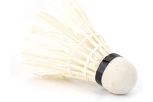 BEWINNER1 12Pcs Badminton Balls White Feather Badminton Balls Shuttlecocks Professional Exercise Ball Outdoor Sports Training Accessory for Recreation, Training, Competition