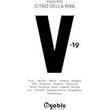 V-19
