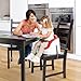 Ingeunity 2-in-1 Baby Base (Poppy Red)