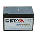 Produktbild Vliesbatterie BTG 12V / 12Ah