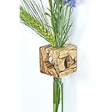 Fenstervase Buche gestockt Blumenvase test tube vase