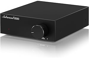 Nobsound 2-Channel Mini Stereo Amplifier: 60W x 2 HiFi Class D Amp with TPA3116 & 19V Power Adapter for Home Theater & Bookshelf Speakers (NS-06G)