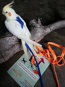 Birds' Park Bird Harness for Cockatiels