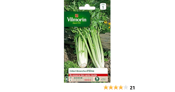 Vilmorin Celeri Branche D Elne Fort Rendement Peu Calorique Et Dietetique Excellente Qualite Gustative Cotes Rondes Et Tres Charnues Amazon Fr Jardin