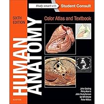 51TSKR7w2tL._AC_UL210_SR210,