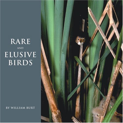 Rare and Elusive Birds of North America livre