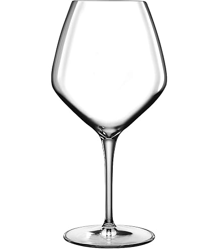 Bormioli Rocco Hosteria – Confezione 6 Calici Piccoli In Vetro Trasparente, 16,5 Cl, Lavastoviglie - 2