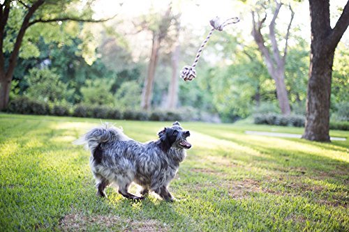 Two-Fantastic-Quality-Dog-Toys-in-Beautiful-Gift-Box-by-The-Natural-Pet-Company-Tug-of-War-Dog-Rope-Toy-Double-Pack-For-Interactive-Play-With-Your-Dog