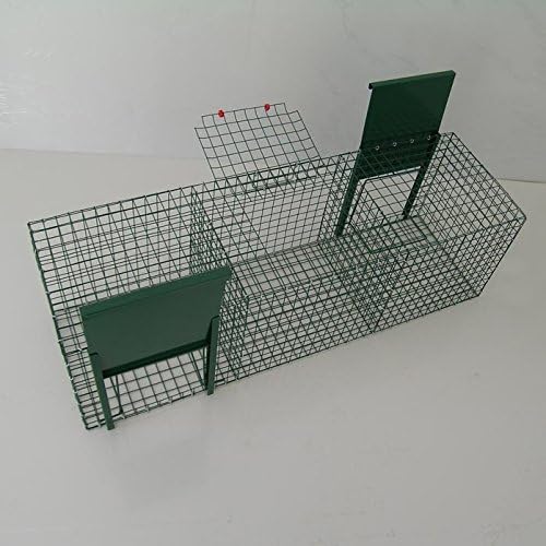 Corvids Trap 2 doors