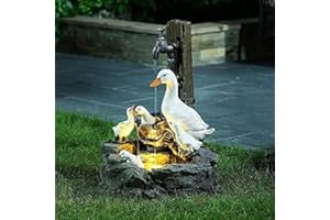 FIORKY Statue de jardin en forme d'animal avec lampes solaires de jardin, fontaine à eau écureuil/canard sculptée d'extérieur en cascade, statue de jardin autonome en résine décoration de fontaine (solaire)