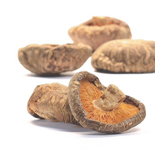 Preisvergleich Produktbild Shiitake Hüte getrocknet Bio 1000g