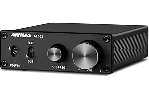 AIYIMA A1001 Mono amplificatore subwoofer amplificatore classe D HiFi Digital Power Amplificatore audio AMP 100W Home Theater with 24V power supply