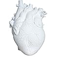 ZCFGUOI Florero de resina anatómica con forma de corazón para decoración de flores, maceta de flores con forma de corazón par