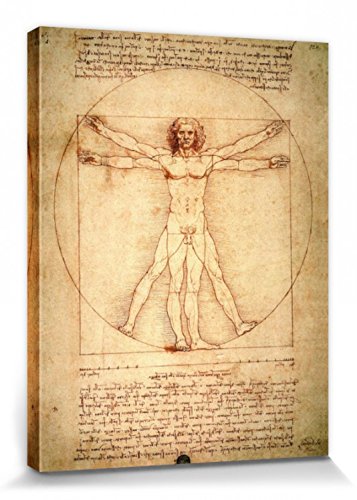1art1 Leonardo Da Vinci - El Hombre De Vitruvio, 1490 Aprox. Cuadro, Lienzo Montado sobre Bastidor (80 x 60cm)
