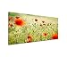 Produktbild 150x50cm Leinwandbild auf Keilrahmen Wieso Mohnblumen Sommer Wandbild auf Leinwand als Panorama