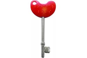 NRS Healthcare Einfachen Drehen Behindertentoiletten Zugang Schlüssel mit rotem Griff