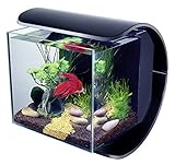 nano aquarium 20l Mit einer Tag-/Nacht-Beleuchtung zur Schaffung eines natürlichen Beleuchtungszyklus.