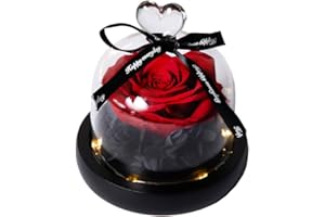 Hyindoor Ewige Rose im Glas Konservierte Rose Rote Seidenrose und LED-Licht in Glaskuppel auf Holzsockel Geschenke für Geburtstag, Hochzeit, Valentinstag, Muttertag, Jubiläum, Weihnachtstag